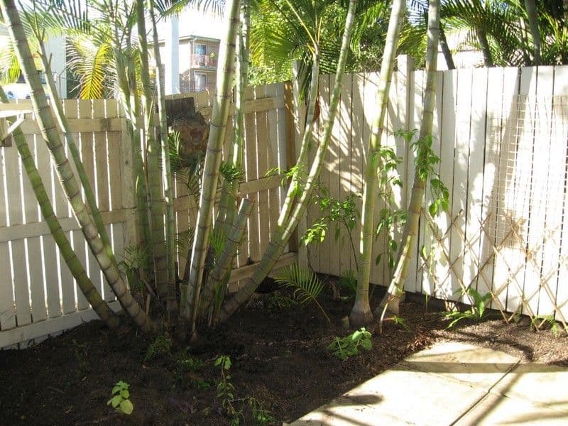 LUTWYCHE QLD 4030, Lutwyche - Thumbnail 4