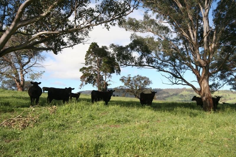 OBERON NSW 2787, Oberon - Thumbnail 5