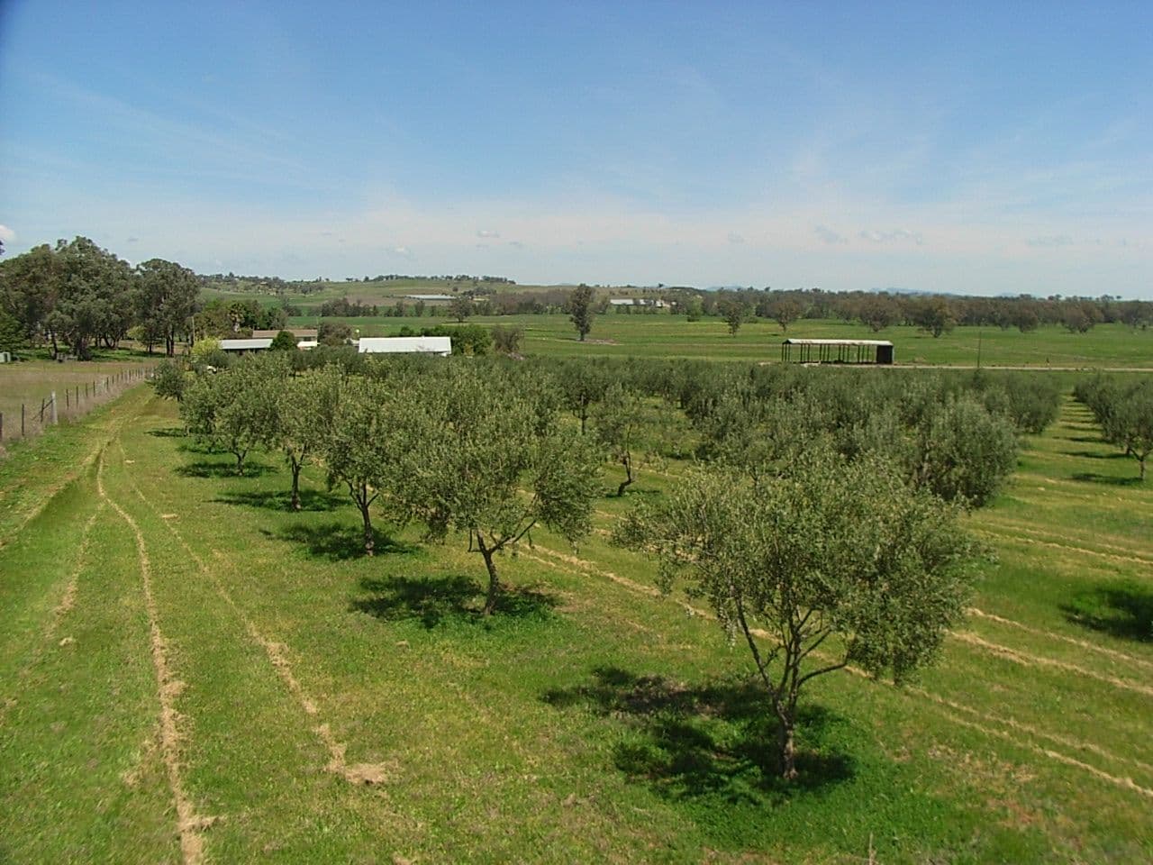 687 687 Nundle Road, TAMWORTH NSW 2340, Tamworth - Thumbnail 2
