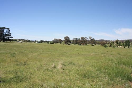 1641 Hoskinstown Road, HOSKINSTOWN NSW 2621, Hoskinstown - Thumbnail 5