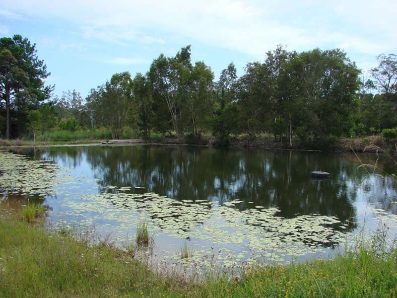 WAMURAN QLD 4512, Wamuran - Thumbnail 8
