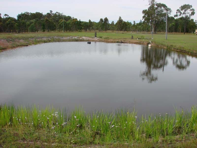 WAMURAN QLD 4512, Wamuran - Thumbnail 4