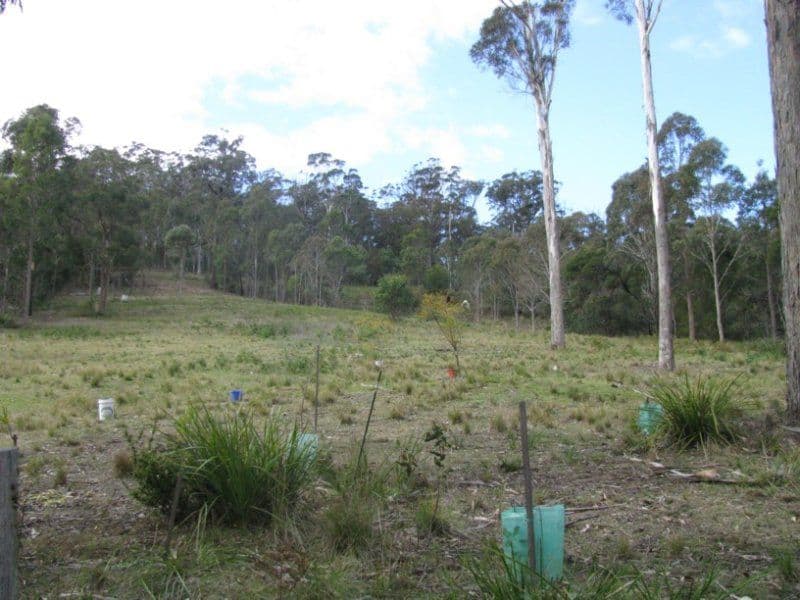 KALARU NSW 2550, Kalaru - Thumbnail 4
