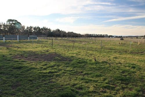 2448 Sutton Road, SUTTON NSW 2620, Sutton - Thumbnail 6