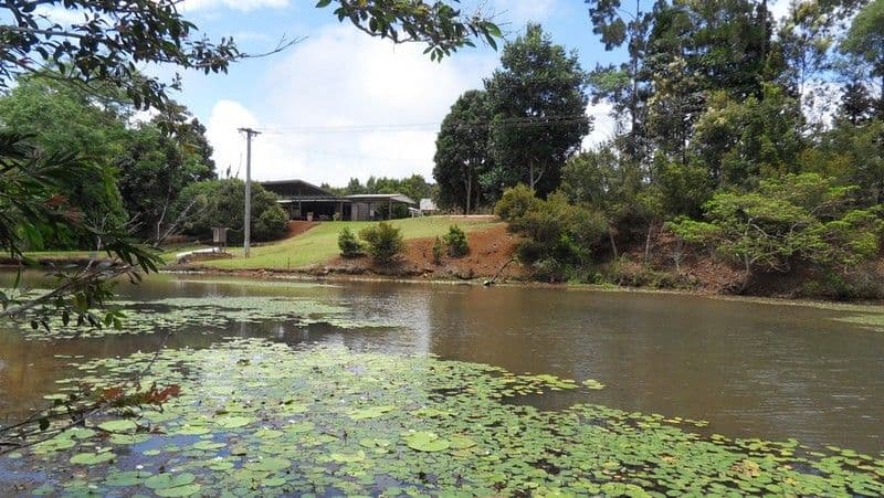 MALANDA QLD 4885, Malanda - Thumbnail 2