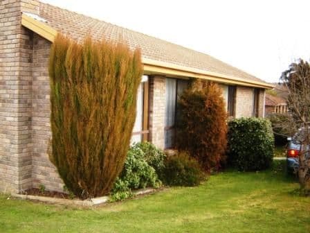 1 Mt Stuart Drive, NEWNHAM TAS 7248, Newnham - Image 1
