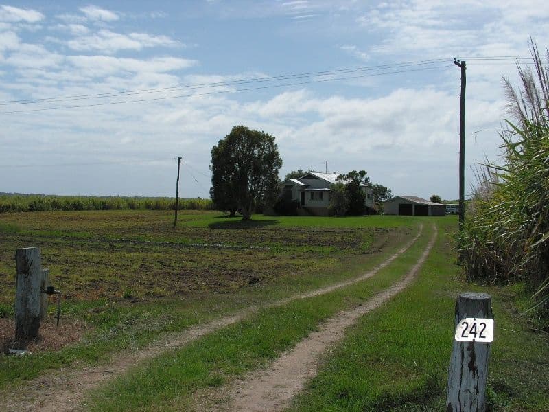 242  Chatsworth Island Road, CHATSWORTH NSW 2469, Chatsworth - Thumbnail 4