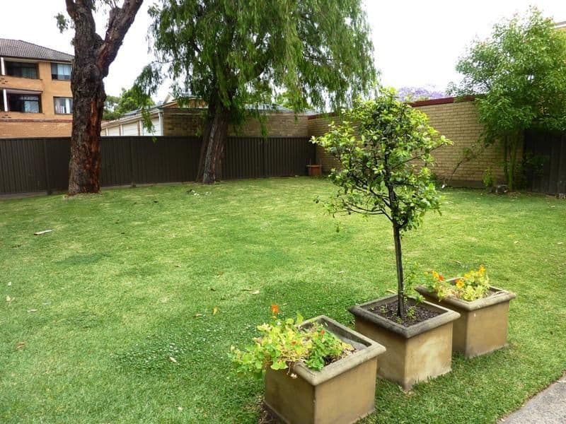 BEXLEY NSW 2207, Bexley - Thumbnail 6