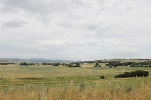 10 McFadzen Place, BUNGENDORE NSW 2621, Bungendore - Thumbnail 4
