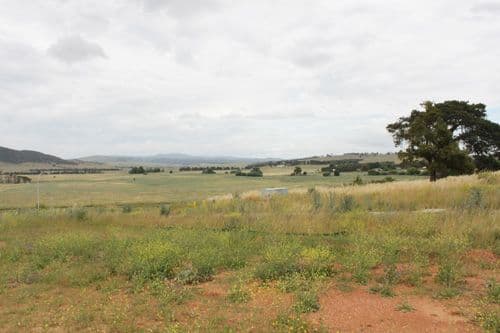 10 McFadzen Place, BUNGENDORE NSW 2621, Bungendore - Thumbnail 2