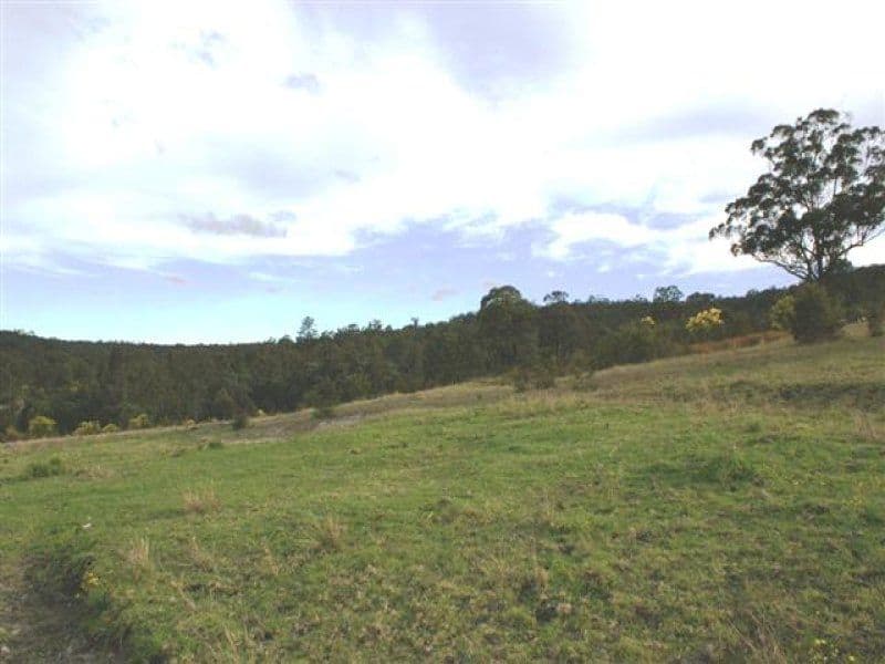 Lots 5, 7, 8, 9, 11 Lings Road, BUTTAI NSW 2323, Buttai - Thumbnail 2