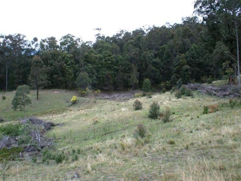 Lots 5, 7, 8, 9, 11 Lings Road, BUTTAI NSW 2323, Buttai - Thumbnail 6