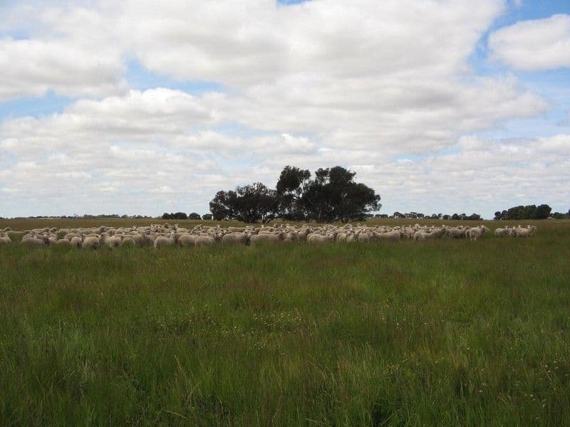 Sec. 75 Senior Road, BORDERTOWN SA 5268, Bordertown - Thumbnail 2