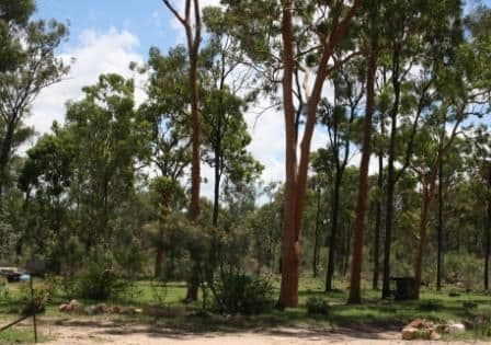 MUNDUBBERA QLD 4626, Mundubbera - Thumbnail 2