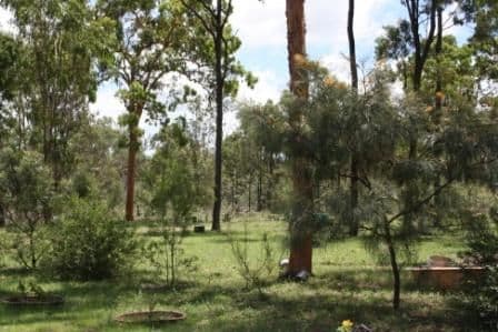 MUNDUBBERA QLD 4626, Mundubbera - Thumbnail 7