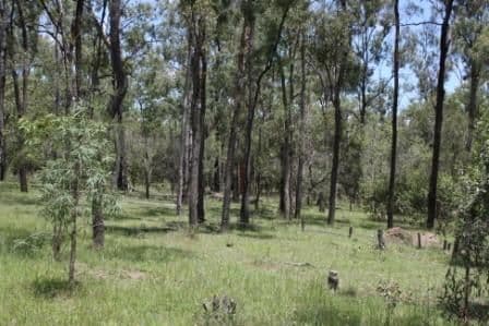 MUNDUBBERA QLD 4626, Mundubbera - Thumbnail 8