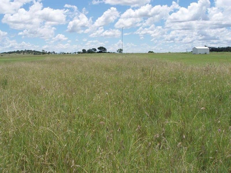3  Moore Street, KULPI QLD 4352, Kulpi - Image 1