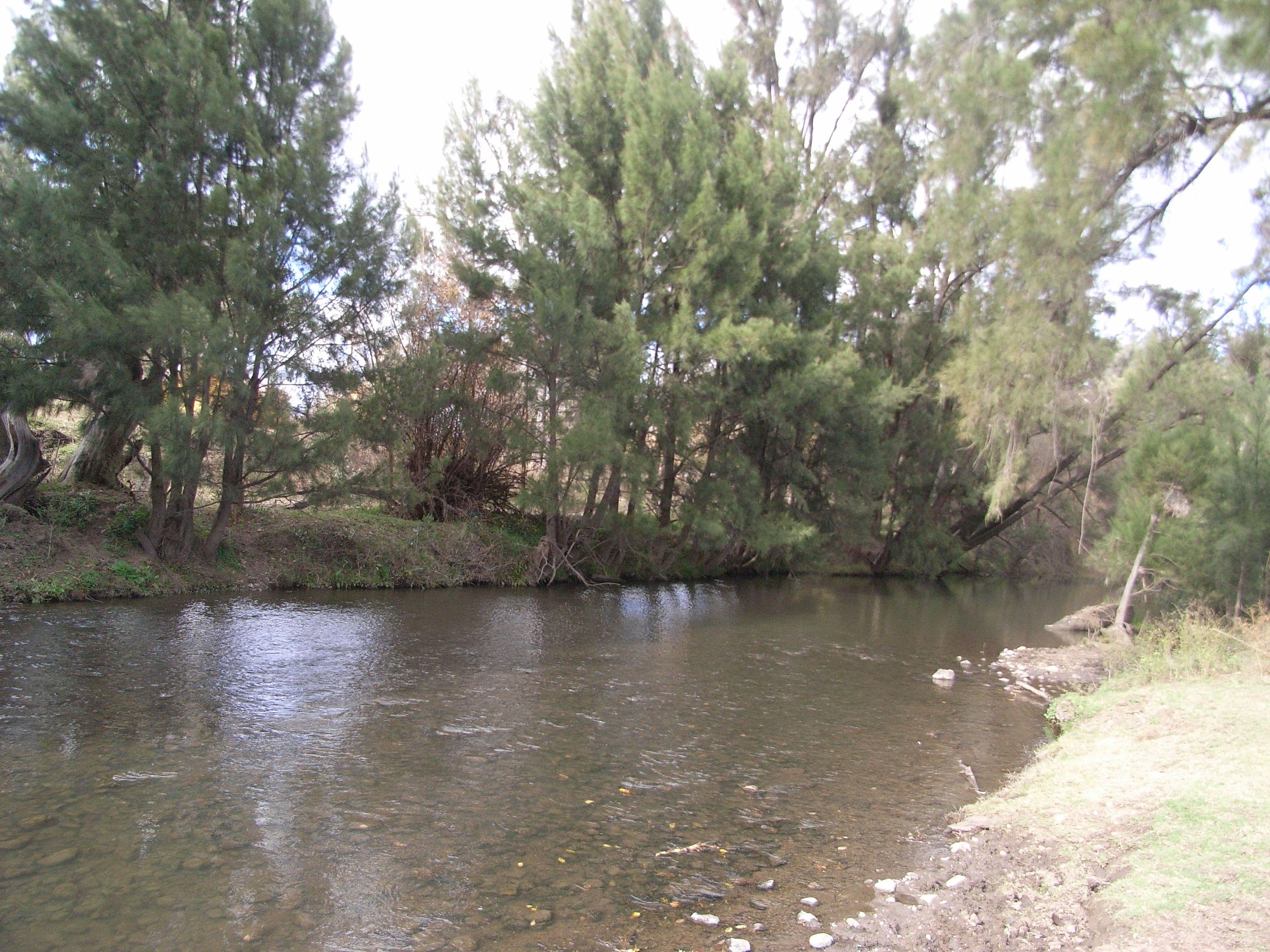1645 Nundle Road, DUNGOWAN NSW 2340, Dungowan - Image 1