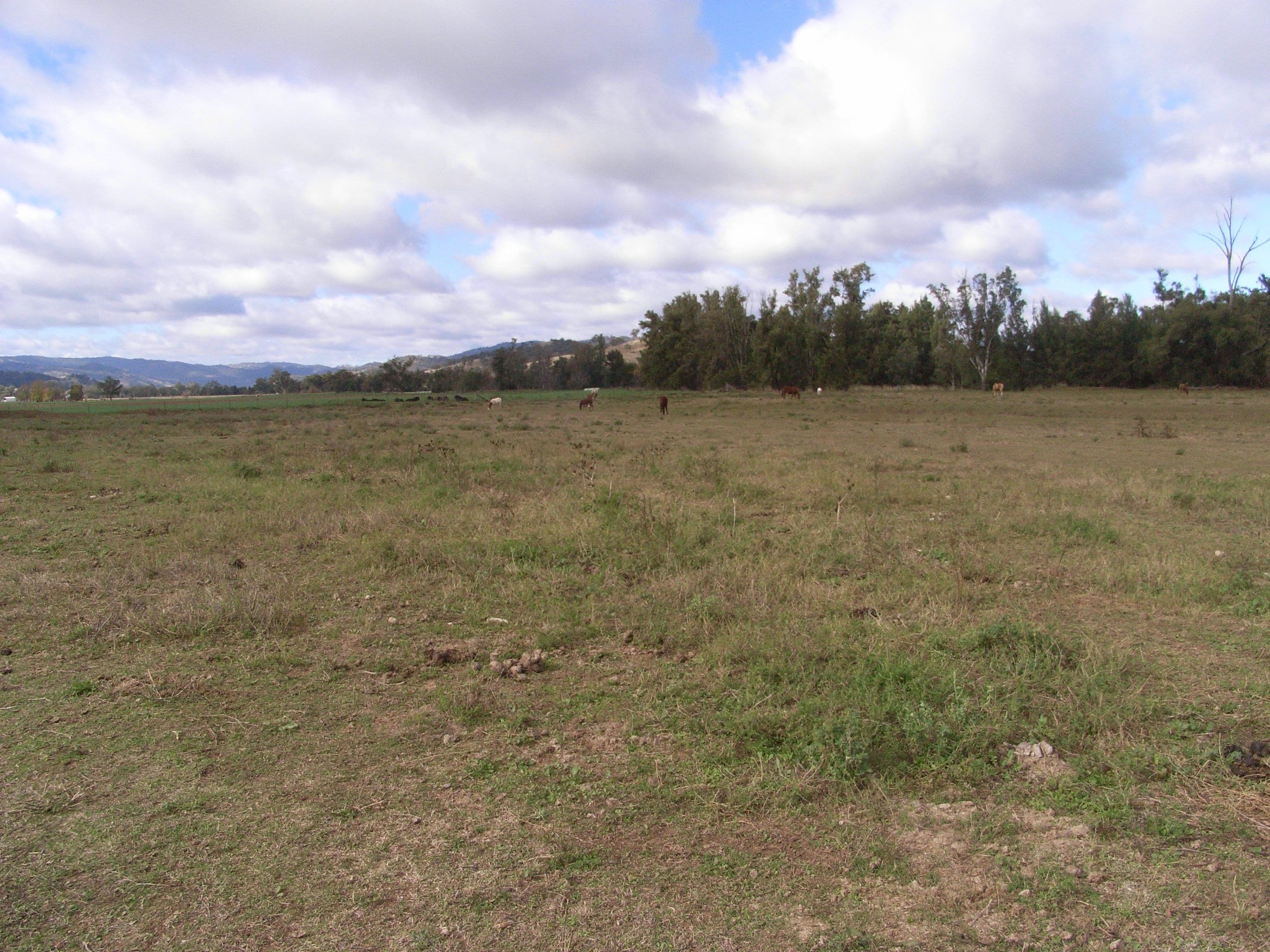 1645 Nundle Road, DUNGOWAN NSW 2340, Dungowan - Thumbnail 4