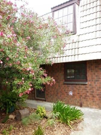 4/570 Cross Road, SOUTH PLYMPTON SA 5038, South Plympton - Image 1