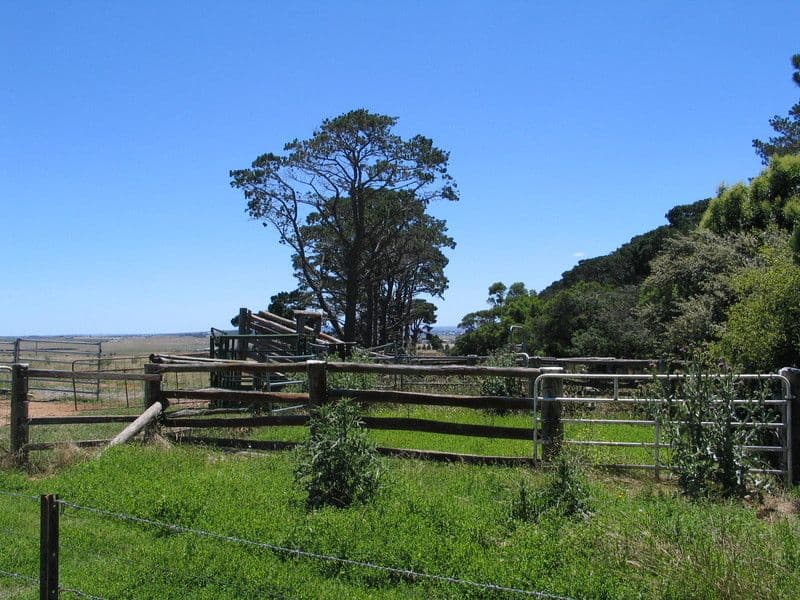 876 Windellama Road, GOULBURN NSW 2580, Goulburn - Thumbnail 3