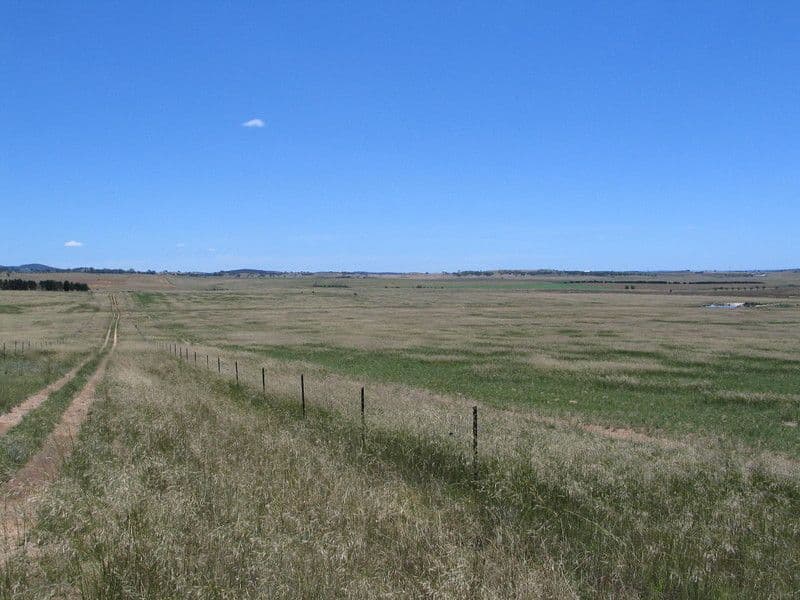 876 Windellama Road, GOULBURN NSW 2580, Goulburn - Thumbnail 7