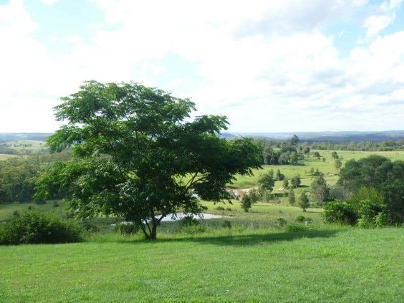 BLACKBUTT QLD 4314, Blackbutt - Image 1