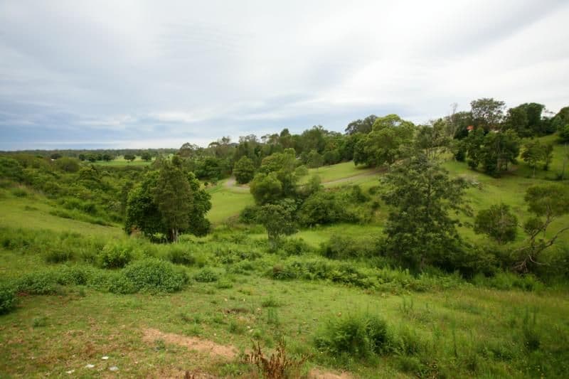 WINGHAM NSW 2429, Wingham - Thumbnail 3