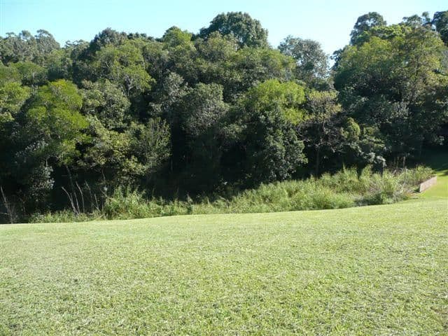 92 William Street, BUDERIM QLD 4556, Buderim - Thumbnail 3