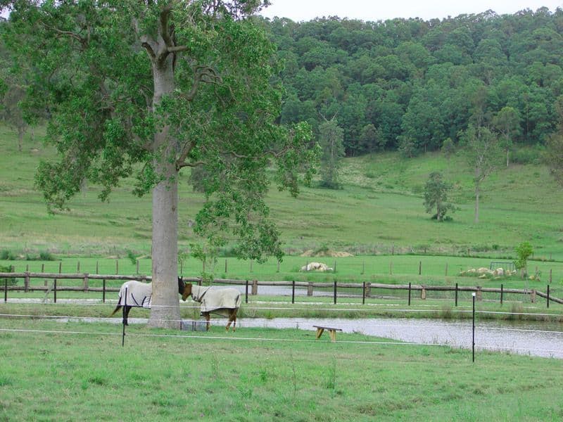 WOODFORD QLD 4514, Woodford - Thumbnail 3