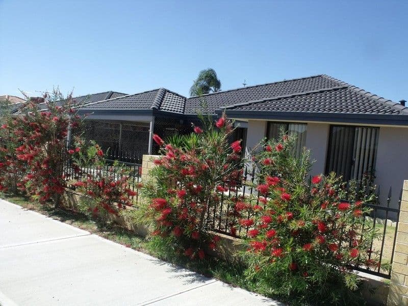 19 Jonquil Loop, SEVILLE GROVE WA 6112, Seville Grove - Image 1