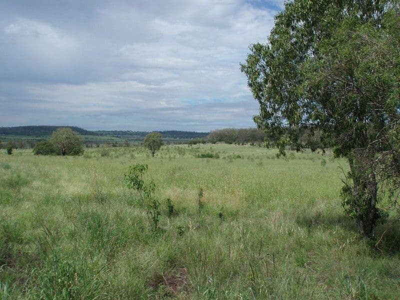 MOUNT TYSON QLD 4356, Mount Tyson - Thumbnail 7