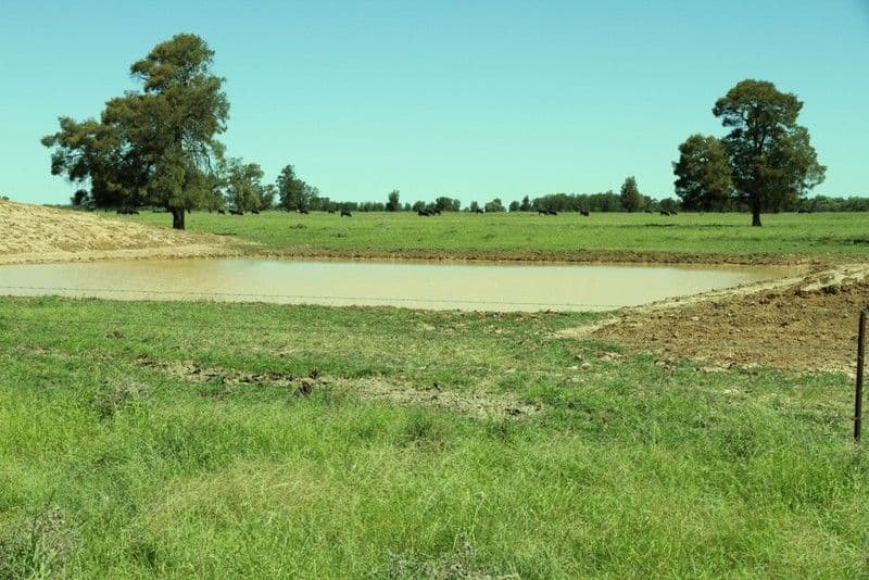 52/11 Treasure Island Drive, Biggera Waters, QLD, 4216, Biggera Waters - Thumbnail 2
