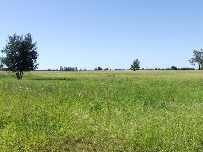 52/11 Treasure Island Drive, Biggera Waters, QLD, 4216, Biggera Waters - Thumbnail 5