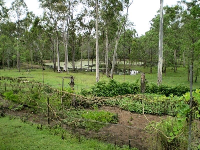 GIN GIN QLD 4671, Gin Gin - Thumbnail 2