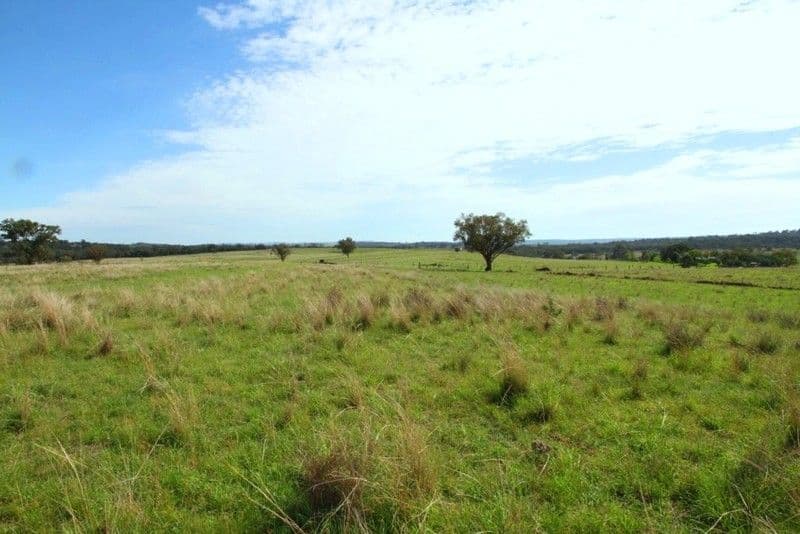 'Terrergee' Terrergee Road, BELLATA NSW 2397, Bellata - Thumbnail 8