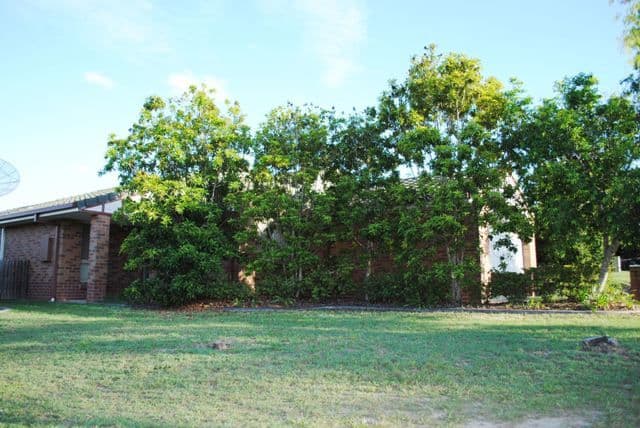 2 Evergreen Court, CALAMVALE QLD 4116, Calamvale - Thumbnail 3