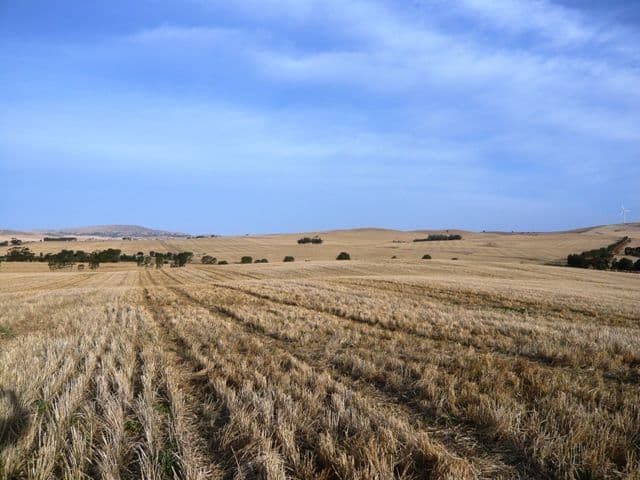 "Treweeks" Petherton Road, BOOBOROWIE SA 5417, Booborowie - Thumbnail 3
