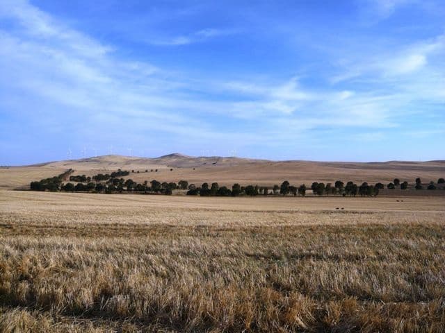 "Treweeks" Petherton Road, BOOBOROWIE SA 5417, Booborowie - Thumbnail 5
