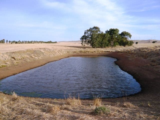 "Treweeks" Petherton Road, BOOBOROWIE SA 5417, Booborowie - Thumbnail 2
