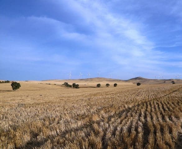 "Treweeks" Petherton Road, BOOBOROWIE SA 5417, Booborowie - Image 1