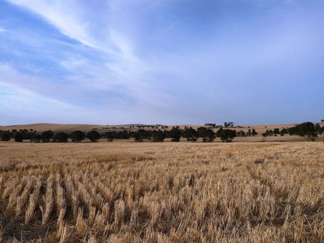 "Treweeks" Petherton Road, BOOBOROWIE SA 5417, Booborowie - Thumbnail 8