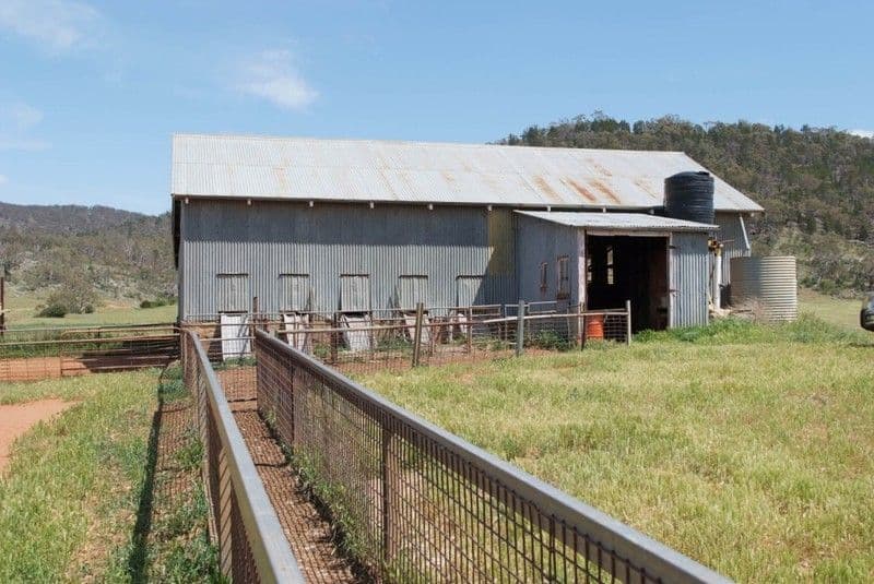 49 Rolland Parade, Warner, QLD, 4500, Warner - Thumbnail 8