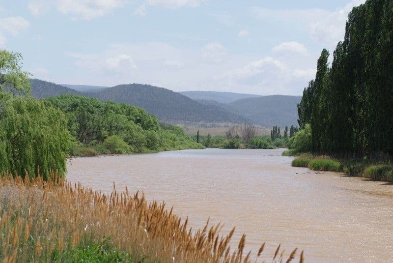 49 Rolland Parade, Warner, QLD, 4500, Warner - Thumbnail 3