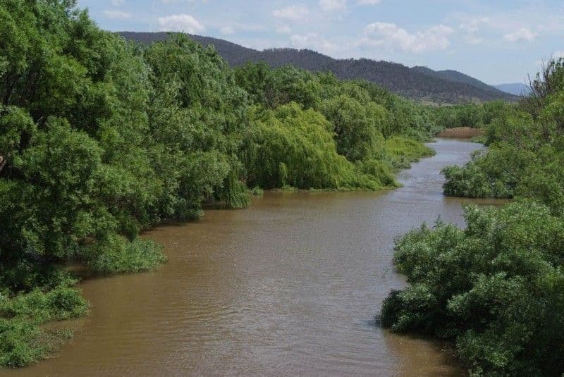 49 Rolland Parade, Warner, QLD, 4500, Warner - Thumbnail 4