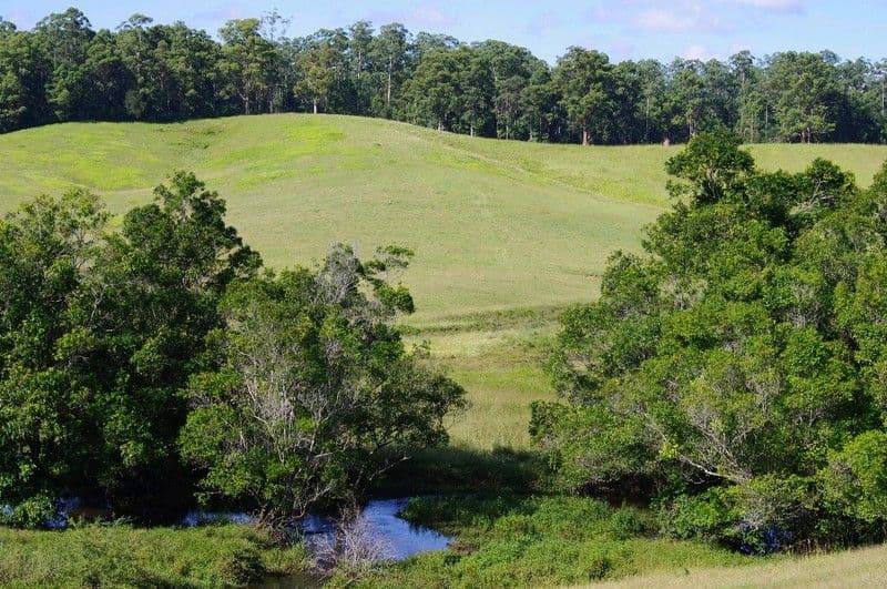 197 Northbank Road, BELLINGEN NSW 2454, Bellingen - Thumbnail 2