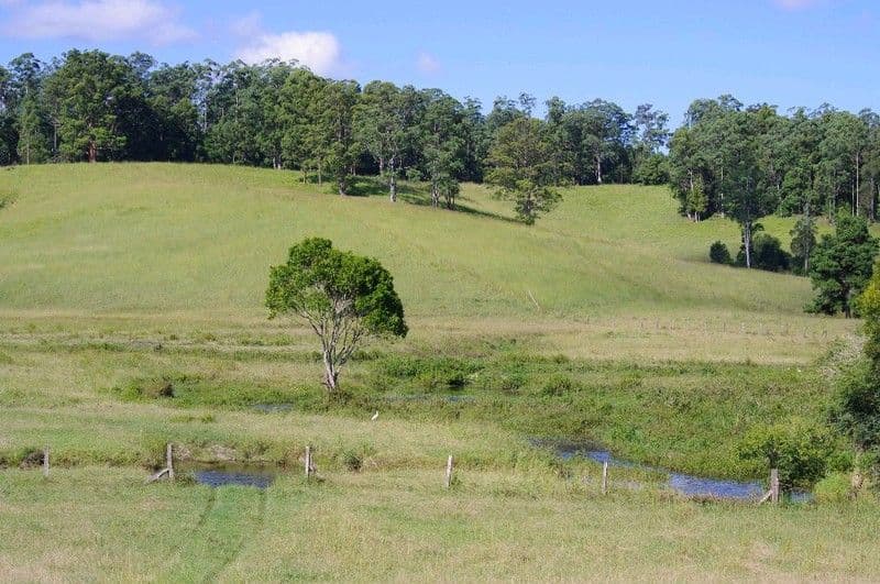 197 Northbank Road, BELLINGEN NSW 2454, Bellingen - Thumbnail 4