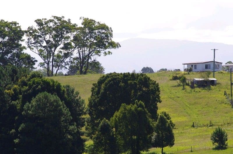197 Northbank Road, BELLINGEN NSW 2454, Bellingen - Thumbnail 6