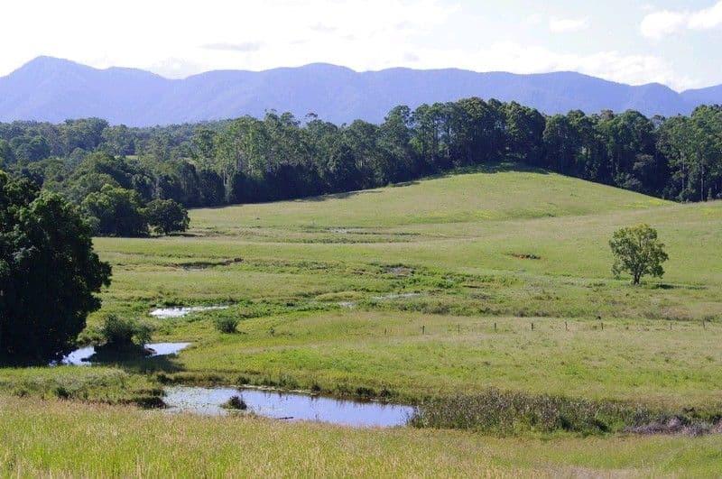 197 Northbank Road, BELLINGEN NSW 2454, Bellingen - Thumbnail 7
