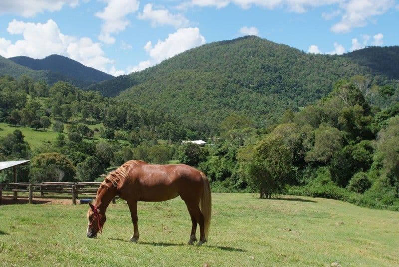SAMFORD QLD 4520, Samford Valley - Image 1